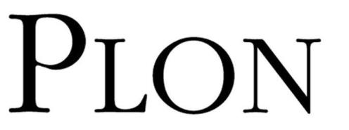 logo PLON MODERNE